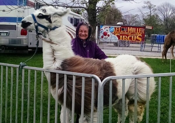 SrMaryLlama15 SrMaryLlama15